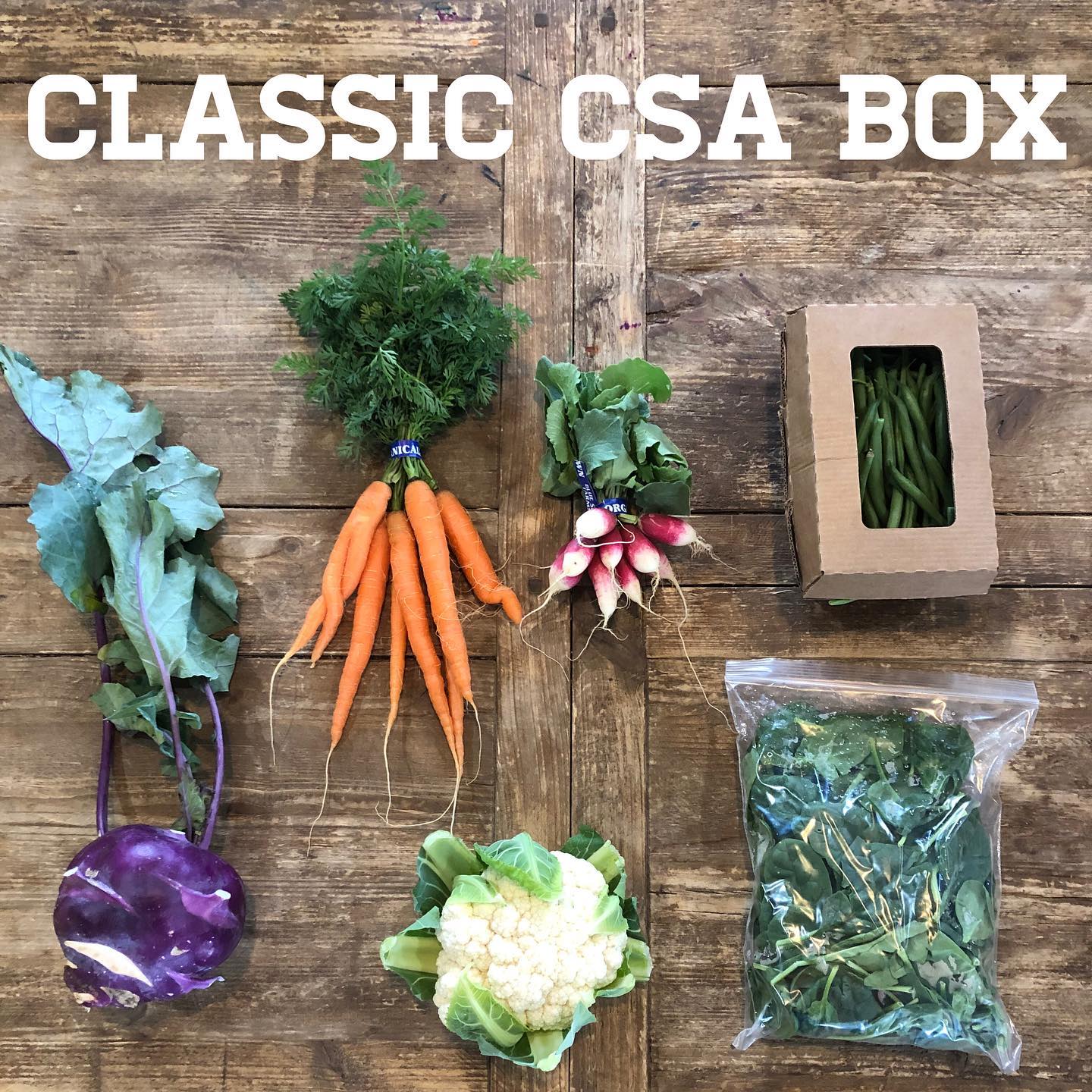 CSA -Bracken Oaks Farms