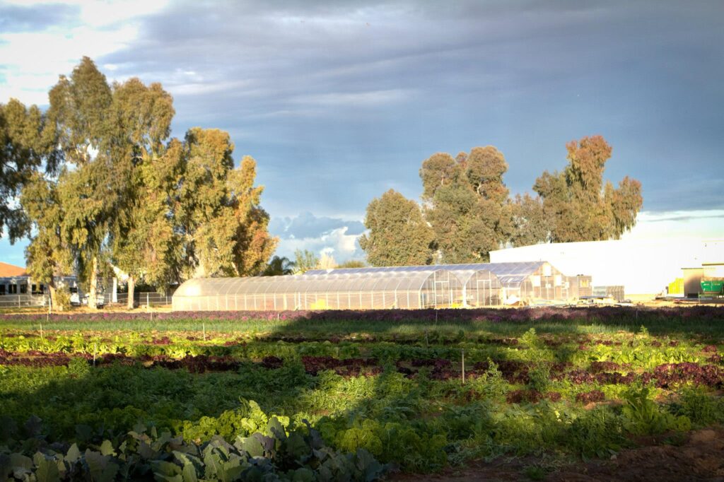 Greenhouse - Bracken Oaks Farms